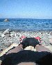 Click for big...