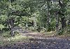 Click for big...