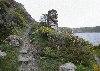 Click for big...