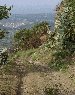 Click for big...